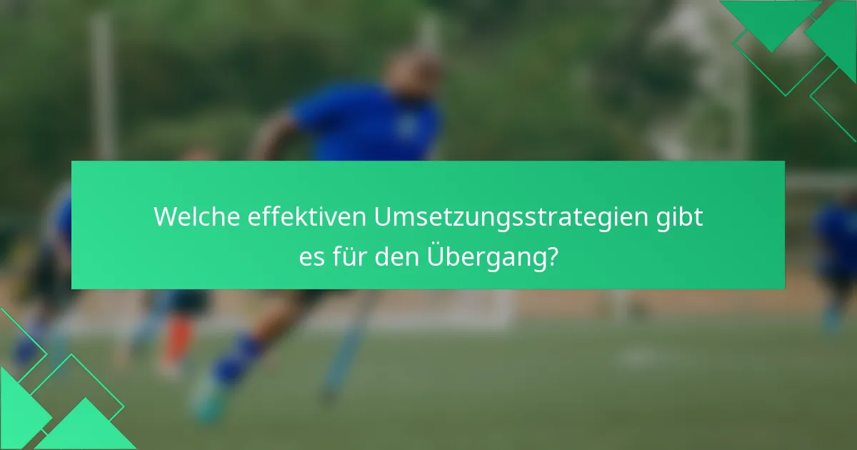 Welche effektiven Umsetzungsstrategien gibt es für den Übergang?